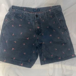 aeropostale men’s shorts flamingos